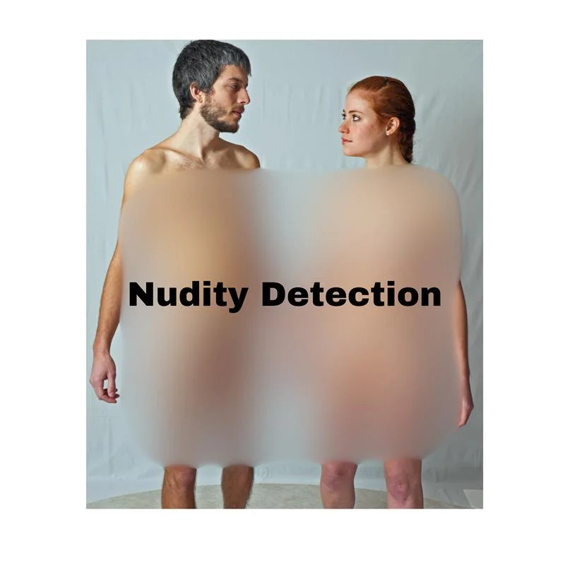 Nudity Filter