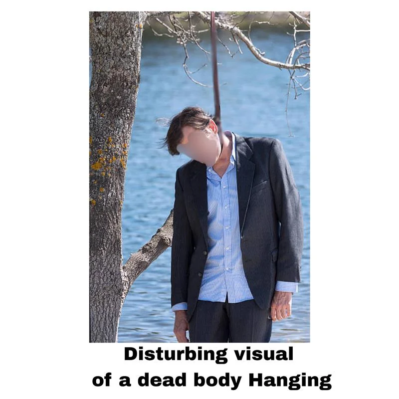 Disturbing Visual Filter