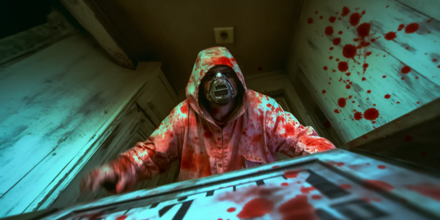 Disturbing Visual Filter